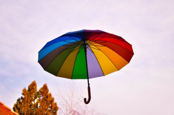 Tampa, FL Umbrella Insurance