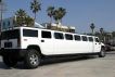 Tampa, FL Limousine Insurance